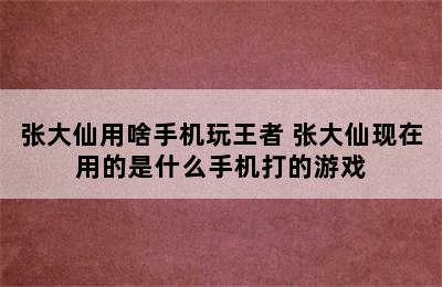 张大仙用啥手机玩王者 张大仙现在用的是什么手机打的游戏